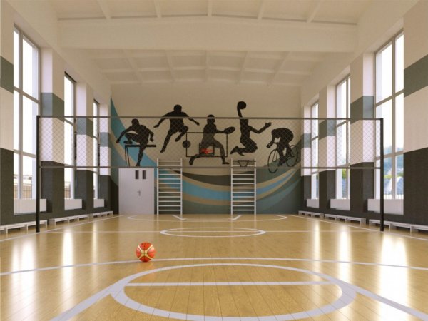 Капитальный ремонт спортзала, Шексна