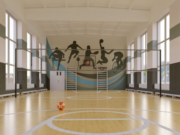 Капитальный ремонт спортзала, Шексна